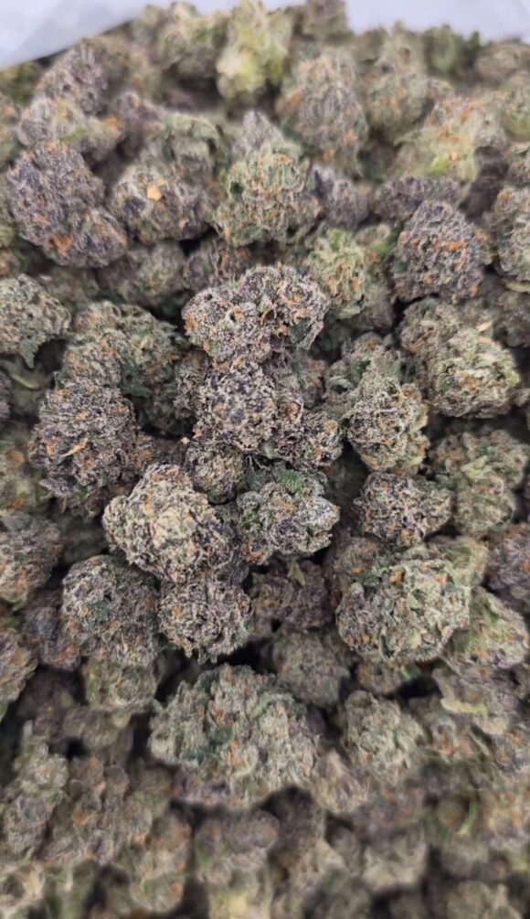 LCG X ZKITTLES