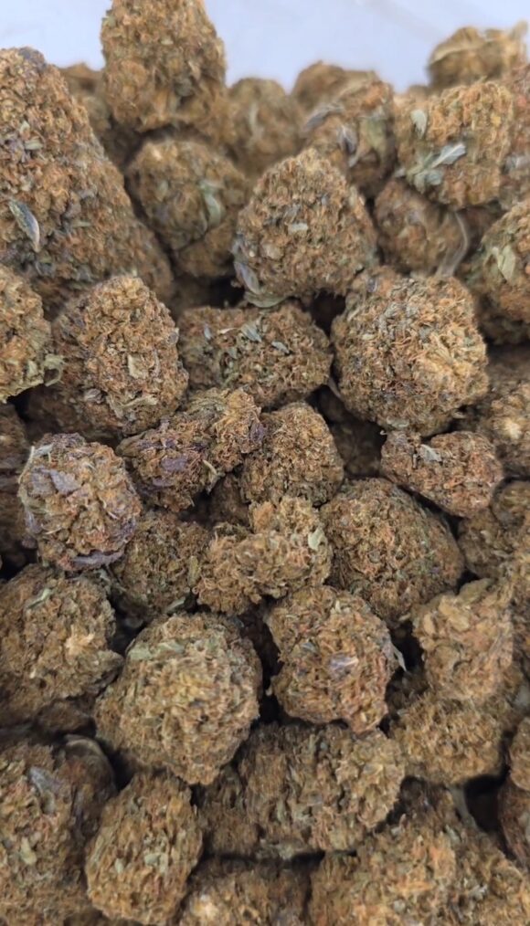 Blueberry Mintz