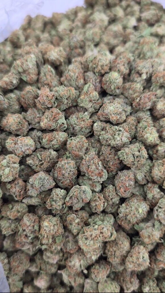Gelato Smalls