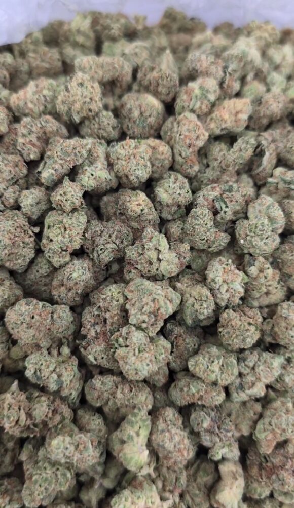 Jolly Rancher Smalls